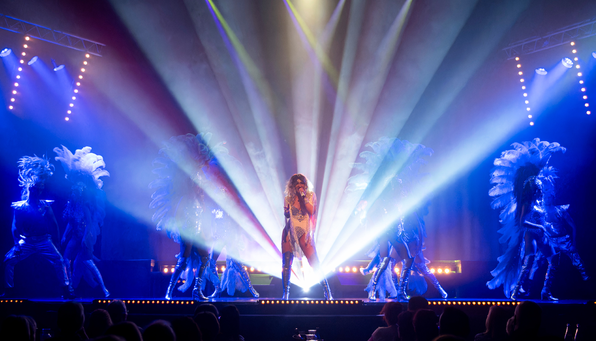 Comédie Musicale DIVA - VOULEZ-VOUS Spectacle & Diner